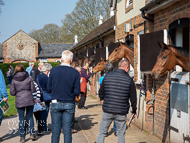 WG250322-111 - Warren Greatrex Stable Visit